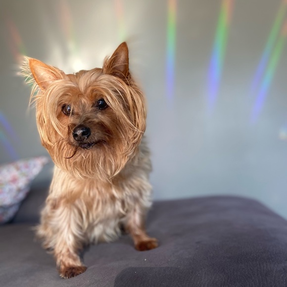 Hi I’m Stephanie - Picture 11 of 16